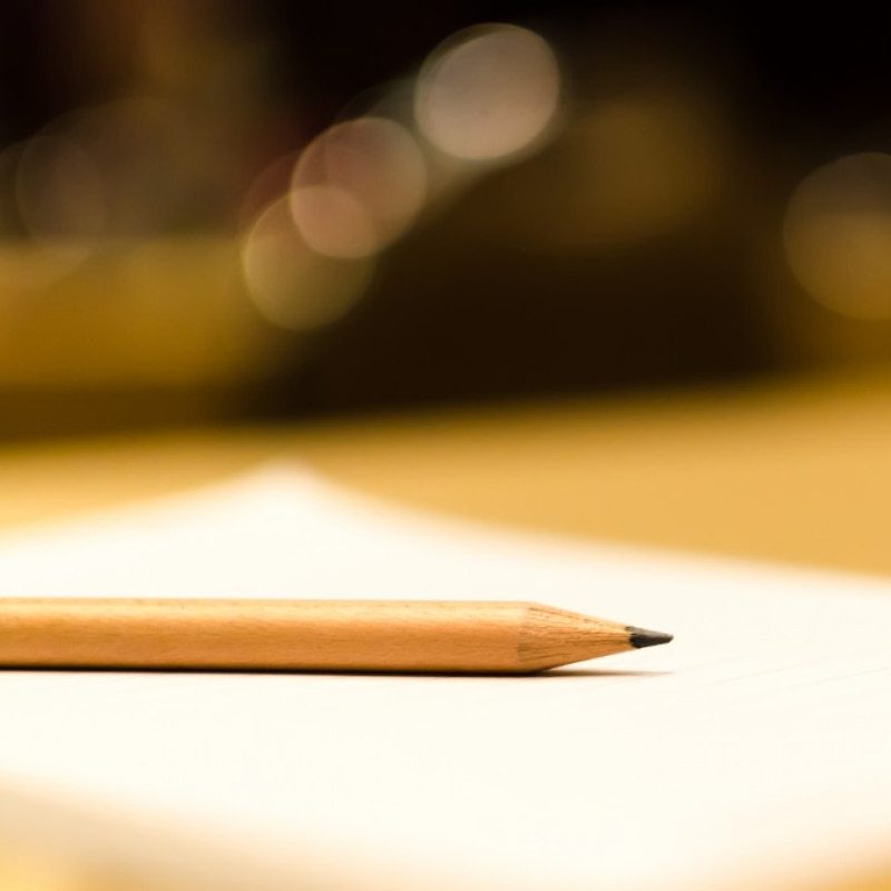 cropped-Best-Essay-Homework1.jpg